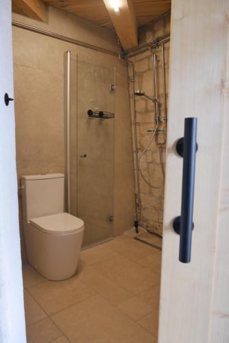 a bathroom with a toilet and a shower at Holländermühle Tultewitz 