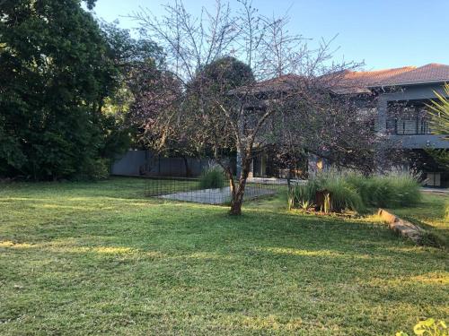 a yard with a tree in front of a house at Eastern Road Executive Suites in Harare