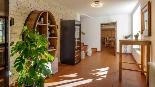 a living room with a plant and a kitchen at Ferienwohnung Allgäu 134 in Wiggensbach