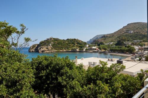 a view of a body of water with mountains at Thea Apartment 3 in Emporeios