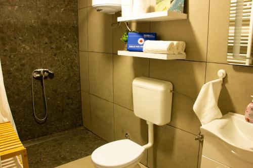 a small bathroom with a toilet and a shower at Apartman Enigma in Senj