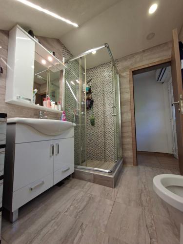 Un baño con ducha, lavabo e inodoro. en Zlatište, en Sarajevo