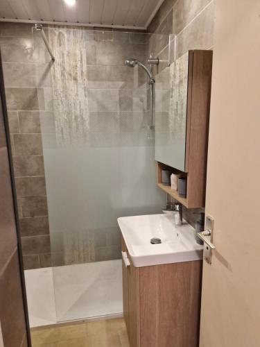 une salle de bain avec douche et lavabo dans l'établissement Le Mimosas, à Bormes-les-Mimosas