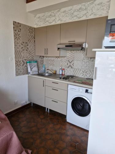 une cuisine avec un évier et une machine à laver dans l'établissement Le Mimosas, à Bormes-les-Mimosas