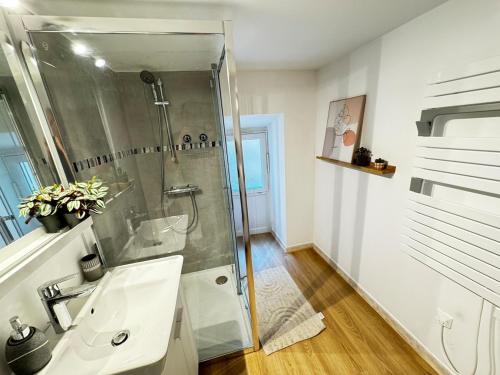 une salle de bain avec douche et lavabo dans l'établissement Beautiful Duplex Studio in the heart of Libourne, à Libourne