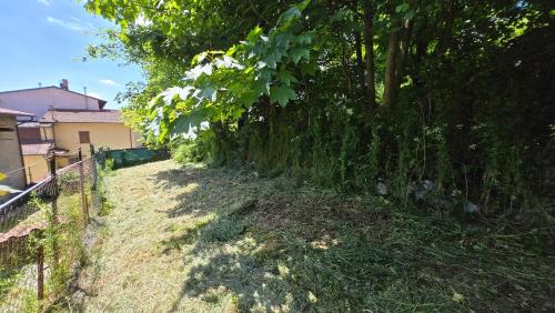 a fence next to a tree withgrass at La Casa del Pittore in Pietramala