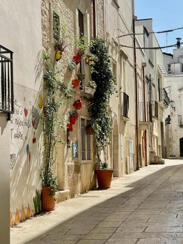 an alley with potted plants on the side of a building at Centro Storico Di Tea in Turi