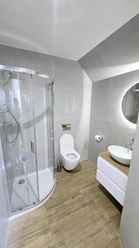a bathroom with a shower and a toilet and a sink at Cliff House & Restaurant in Żary
