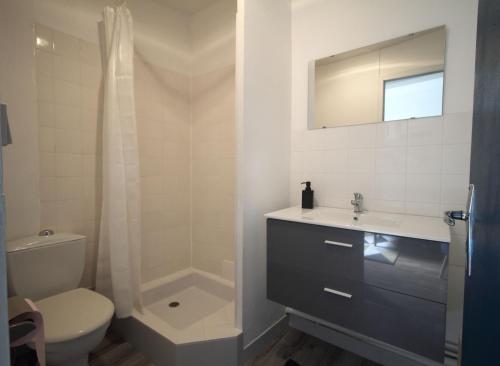 une salle de bain avec toilettes, lavabo et douche dans l'établissement T1 charme, calme, Fibre, Proche bords de Loire, à Orléans