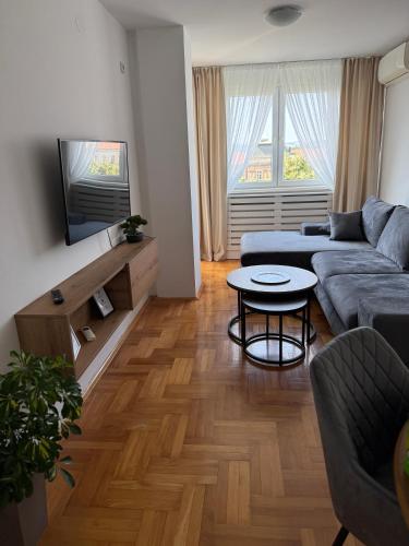 a living room with a couch and a table at DarViva Apartment Niš, center, private garage parking, river view in Niš