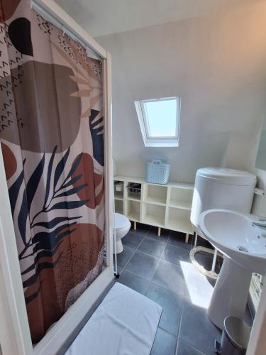 une salle de bain avec une douche, des toilettes et un lavabo dans l'établissement Bords de Loire - Climatisé - 4 personnes - Hypercentre Orléans, à Orléans