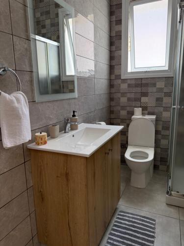 een badkamer met een wastafel en een toilet bij Sun & Sea House in Paralimni