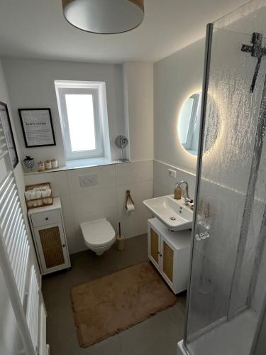 a bathroom with a toilet and a sink and a shower at Gemütliches Apartment I Mitten in der Stadt Aschaffenburg I 5 Min HBF I Gegenüber City Galerie in Aschaffenburg