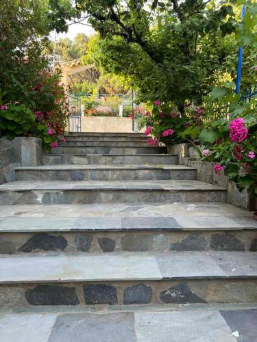 a set of stone stairs with pink flowers at Sotiria in Paramonas