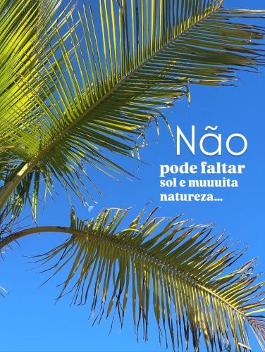 a palm tree with the words noode father soil and minimumwyn at Pousada Caraíva dos Sonhos Oficial in Caraíva