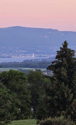 a group of trees sitting on top of a hill at villa Genolier in Genolier