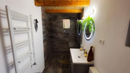Ένα μπάνιο στο La Bârlog Loft