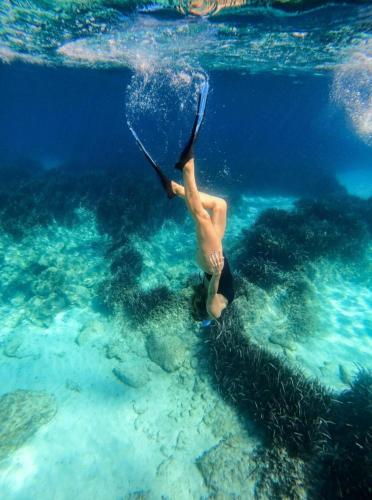 Επισκέπτες που μένουν στο Vientos y Mares