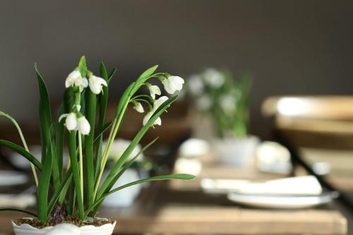 a table topped with a potted plant on a table at West Highland Hotel in Mallaig