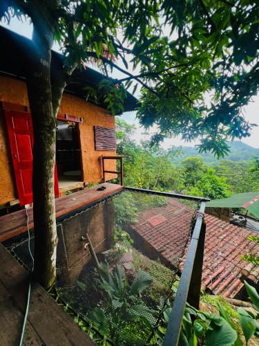 a house with a swimming pool next to a tree at Hostal CASA COLIBRI MINCA in Minca