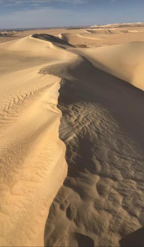 an aerial view of a desert with footprints in the sand at Siwa Nostalgia Ecolodge in Siwa