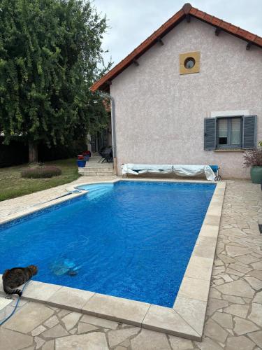 un chat assis à côté d'une piscine bleue dans l'établissement Le bureau, à Digoin