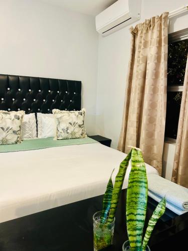 Foto sihtkohas Manzini asuva majutusasutuse Skyfly Bed & Breakfast galeriist