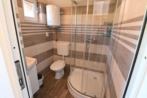 a small bathroom with a toilet and a shower at Casa Aron in Sovata