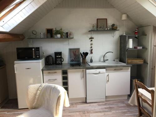 una cucina con lavello e microonde di Toit et Moi a Le Mont-Dore