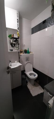 Et badeværelse på Apartman za najam za potrebe koncerta MP Thompsona