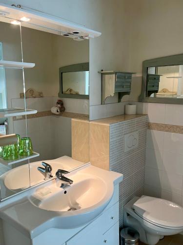 a bathroom with a sink and a toilet at Domaine du moulin de la plaine - L'île Ô Reflets in Trôo