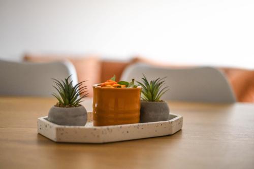 Φωτογραφία από το άλμπουμ του Apartmani S σε Vrnjačka Banja