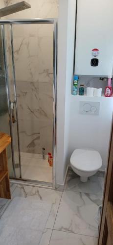 une salle de bain avec douche et toilettes dans l'établissement Studio familial, à Paris