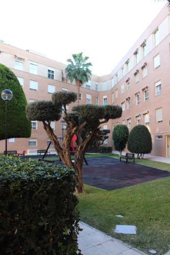 a tree in a park in front of a building at Encantador Ático a 2,6 km de la Playa in San Juan de Alicante