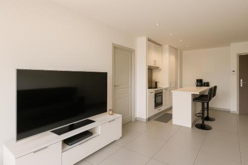 un salon avec une grande télévision à écran plat dans l'établissement Thanh Ho entre Disneyland et Paris-parking Gratuit, à Gournay-sur-Marne