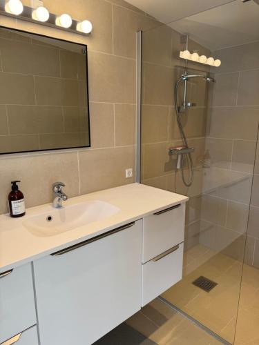 a bathroom with a sink and a shower at Bøtø strand ferielejlighed 7 in Marielyst