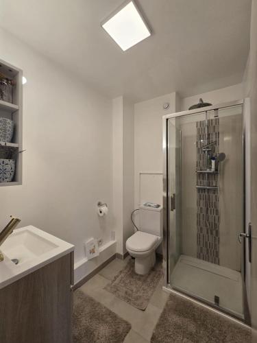 une salle de bain avec toilettes, douche et lavabo dans l'établissement 3 Bedroom House Terrace Park & Free Parking, à Aix-en-Provence
