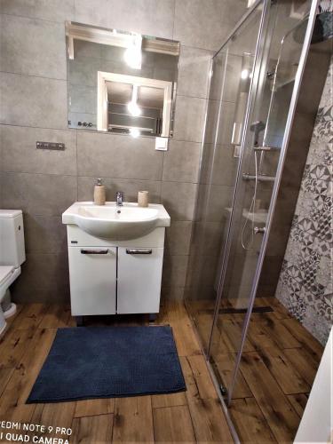 a bathroom with a sink and a shower at Paloma in Kołczewo