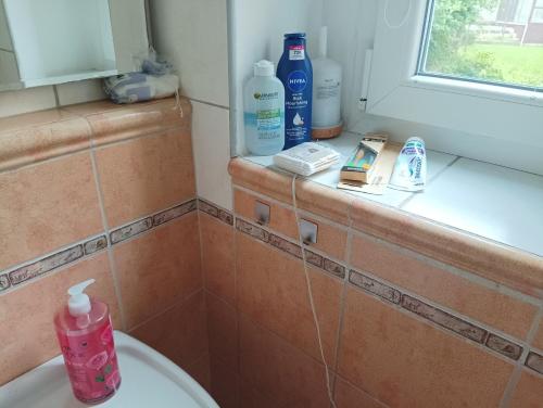 Sweet home apartment Kobylisyにあるバスルーム