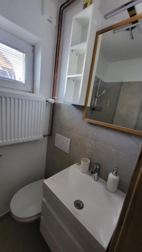 Koupelna v ubytování Apartma Leila