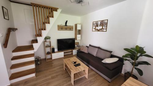 TV a/nebo společenská místnost v ubytování Apartma Leila