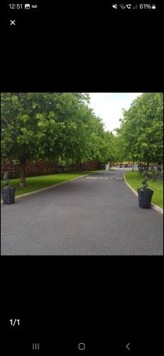 an empty road with trees on the side of it at The Garden Lodge in Cappoquin