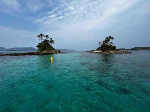 eine Insel mit Palmen im Wasser in der Unterkunft Loft Refúgio in Angra dos Reis