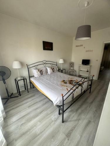 a bedroom with a large bed in a room at Appartamento Lana zona terme Centro e vicino a Villa Igea in Acqui Terme