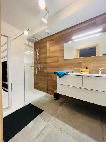 une salle de bain avec un lavabo et une douche dans l'établissement Gîtes les COMBES, à Saint-Léger-les-Mélèzes