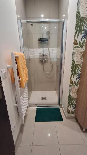 La salle de bains est pourvue d'une douche et d'un tapis vert. dans l'établissement Une chambre Nîmes à 15 mn du Coeur de ville, à Nîmes