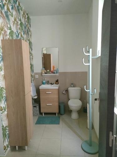une salle de bain avec toilettes, lavabo et miroir dans l'établissement Une chambre Nîmes à 15 mn du Coeur de ville, à Nîmes