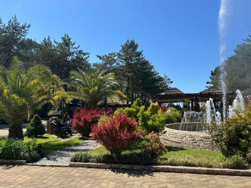 Zahrada ubytování Dreamland Oasis Private garden