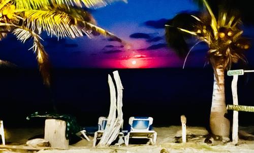 a couple of chairs and a palm tree on a beach at Nirvana Maya in Mahahual