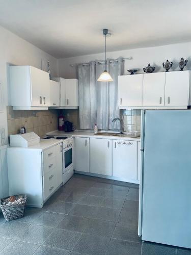 Kuchyň nebo kuchyňský kout v ubytování Romantic Stone Villa